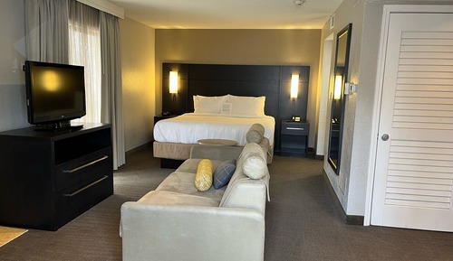 Studio, 1 King Bed with Sofa bed (Mobility/Hearing Accessible, Tub)