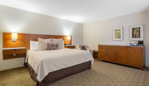 Deluxe Room, 1 King Bed, Accessible (Roll In Shower)
