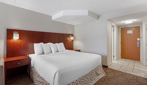 Standard Room, 1 King Bed, Non Smoking, Refrigerator