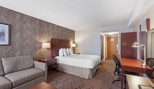 Standard Room, 1 Queen Bed, Non Smoking, Refrigerator