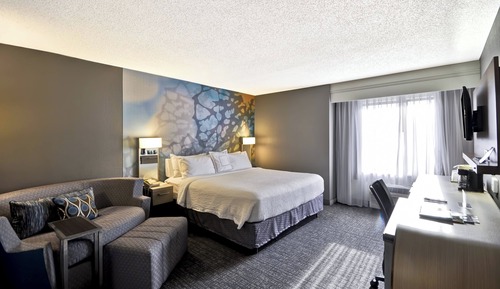 Room, 1 King Bed with Sofa bed, Roll-in Shower