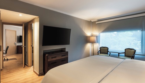 Junior Room, 1 Queen Bed