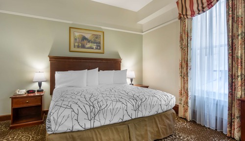 Standard Room, 1 King Bed, Non Smoking (Larger Room;with Sofabed)