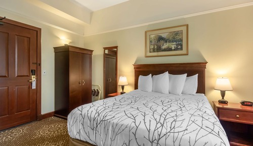 Standard Room, 1 King Bed, Non Smoking