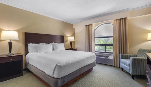 Suite, 1 King Bed, Non Smoking, Refrigerator & Microwave (with Sofabed)