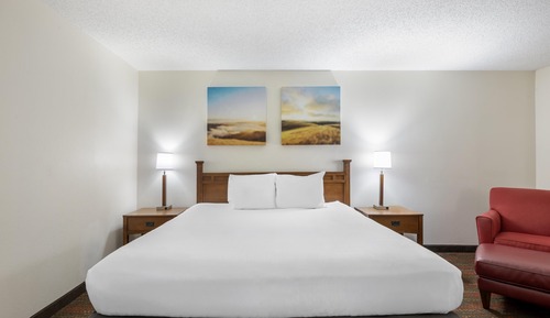Standard Room, 1 King Bed, Non Smoking (2nd Floor)