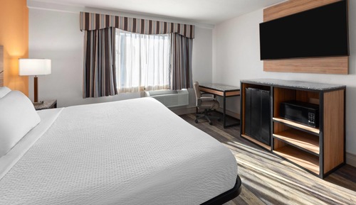 Room, 1 King Bed, Non Smoking
