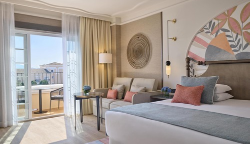 Room, 1 King Bed with Sofa bed