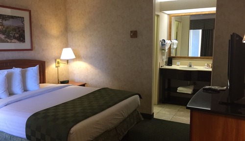 Room, 1 Double Bed, Non Smoking