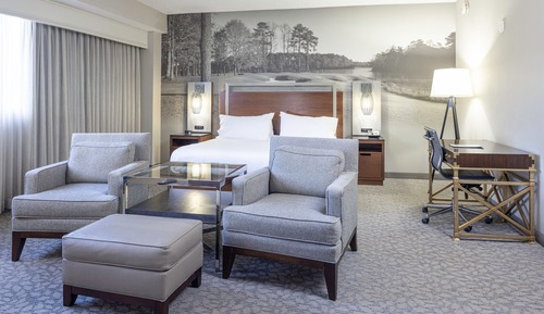 Room, 1 King Bed (Hearing Accessible)