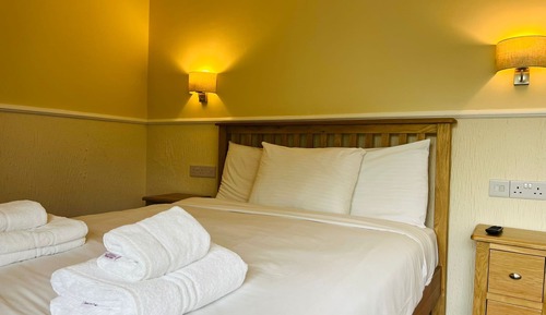 Family Room, Multiple Beds