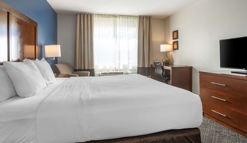 Suite, 1 King Bed with Sofa bed, Non Smoking