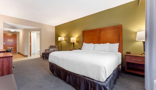 Standard Room, 1 King Bed, Non Smoking