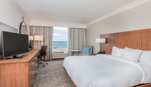 Room, 1 King Bed