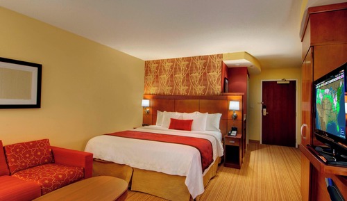 Room, 1 King Bed with Sofa bed
