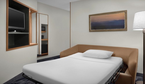 Suite, 1 King Bed with Sofa bed