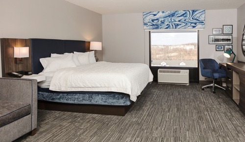 Room, 1 King Bed with Sofa bed