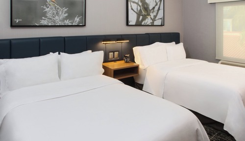 Suite, 1 Bedroom, Kitchen (Dining)
