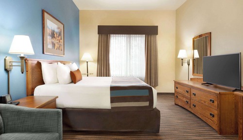 Room, 1 King Bed, Non Smoking, Refrigerator & Microwave