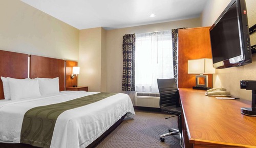 Room, 1 King Bed, Non Smoking