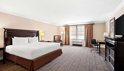 Standard Room, 1 King Bed, Accessible, Bathtub (with Single Sofabed)