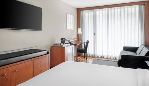 Standard Room, 1 King Bed with Sofa bed