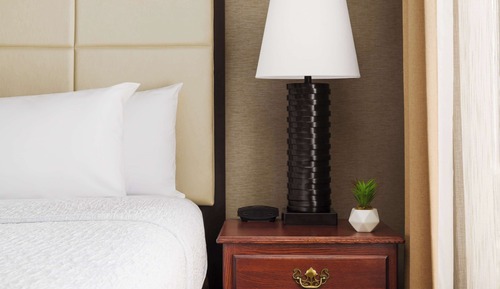 1-Bedroom Suite, Mobility Accessible