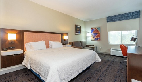 Room, 1 King Bed, Non Smoking