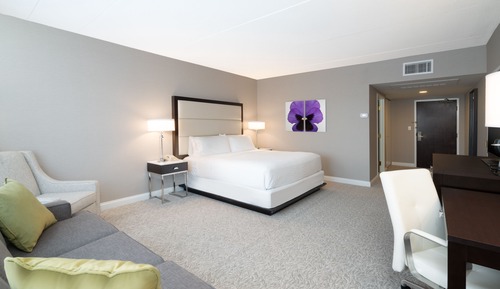 Room, 1 Queen Bed, Accessible (Mobility Tub)