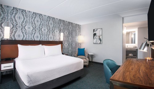 Suite, 1 Bedroom, Roll-in Shower (Mobility and Hearing Accessible)