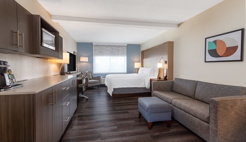 Suite, 1 King Bed with Sofa bed