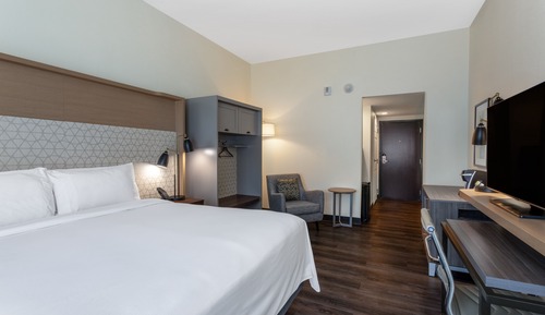 Room, 1 King Bed, Roll-in Shower (Communications, Mobility Accessible)