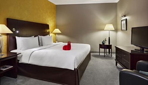 Premium Room, 1 King Bed
