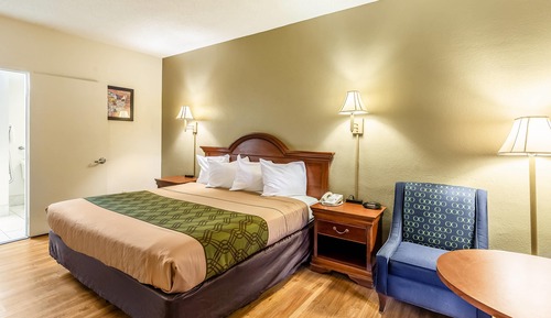 Room, 1 King Bed, Accessible, Non Smoking