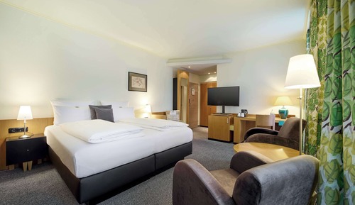 Comfort Room, 1 Double Bed