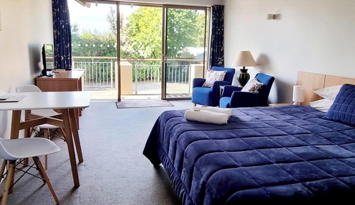 Executive Studio, 1 King Bed, Kitchenette, Mountain View