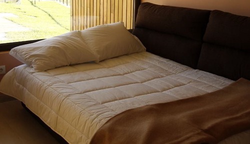 Superior Bungalow, 1 Bedroom