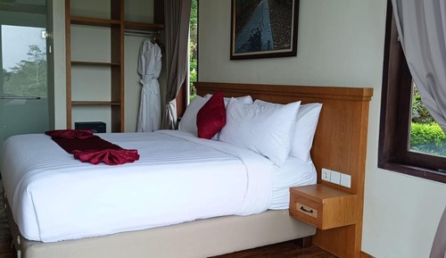 Junior Studio Suite, 1 King Bed, Mountain View