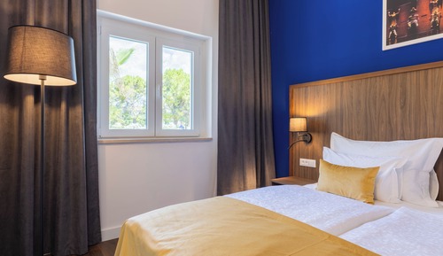 Standard Double or Twin Room, Park View