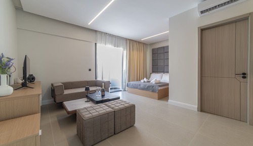Executive Studio, 1 King Bed, Terrace