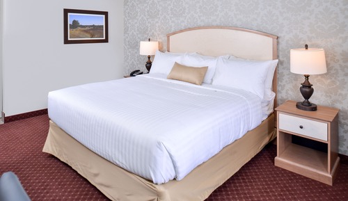 Standard Room, 1 King Bed, Accessible