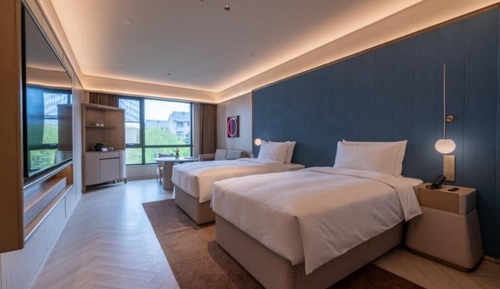 Business Double Room, Non Smoking, Pets Not Allowed
