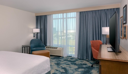 Room, 1 King Bed, Non Smoking, Refrigerator