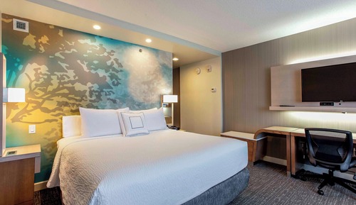 Room, 1 King Bed with Sofa bed