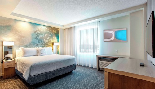 Suite, 1 King Bed with Sofa bed