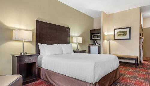Queen Room with Roll-In Shower - Mobility Accessible/Non-Smoking