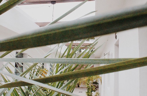 Barrio de Santiago Hotel | El Tigre de Santiago