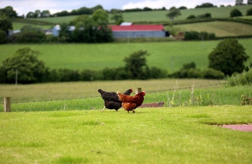 Mauchline Hotel | Crofthead Farm House