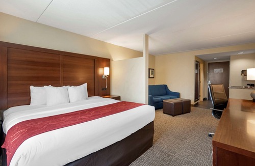 Fredericksburg Hotel | Comfort Suites Fredericksburg North