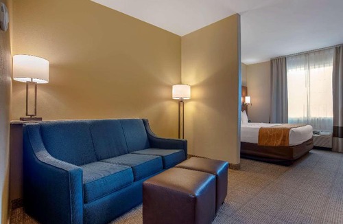 Alexandria Hotel | Comfort Suites Alexandria
